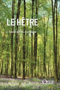 Picture of Le hêtre