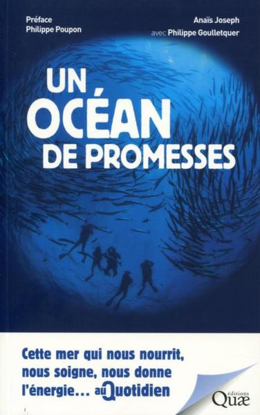 Picture of Un océan de promesses