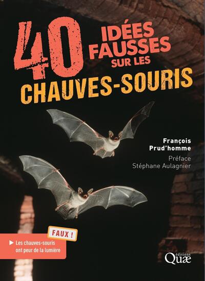 Picture of 40 idées fausses sur les chauves-souris