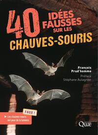 Picture of 40 idées fausses sur les chauves-souris