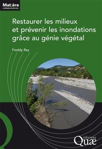 Image de Restaurer les milieux et prévenir les inondations grâce au génie végétal