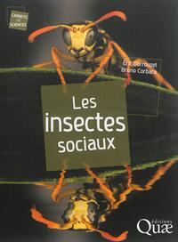 Picture of Les insectes sociaux