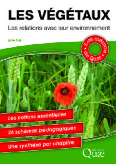 Image de La créature, Les races