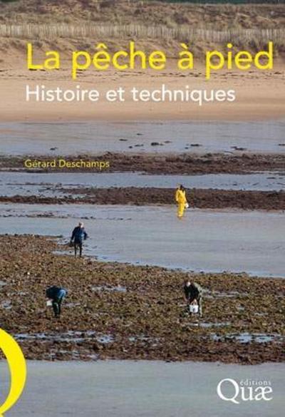 Picture of La pêche à pied