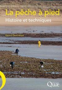 Picture of La pêche à pied