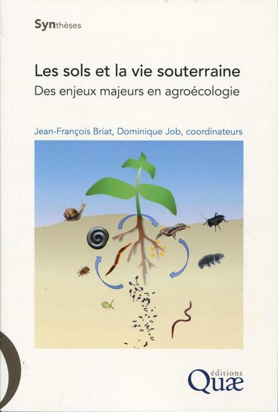 Image de Les sols et la vie souterraine