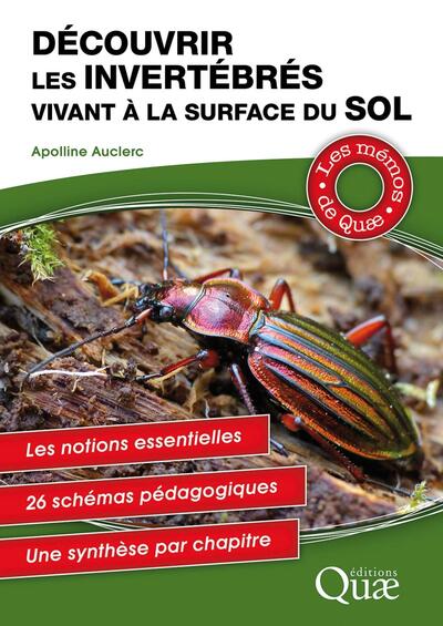 Picture of Découvrir les invertébrés vivant à la surface du sol