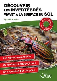 Picture of Découvrir les invertébrés vivant à la surface du sol