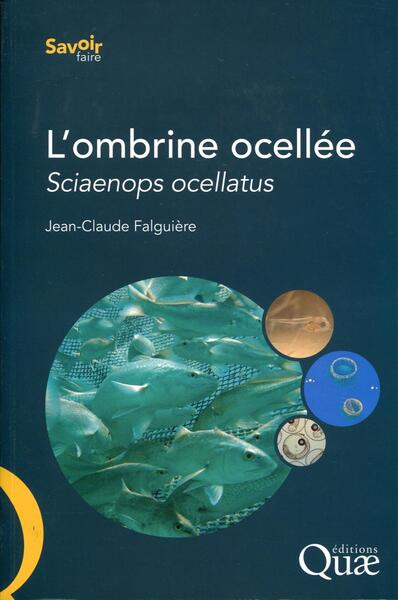 Picture of L'ombrine ocellée