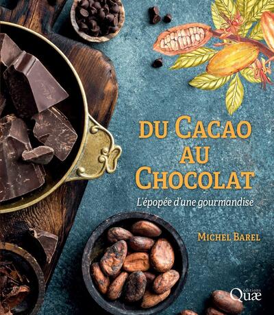 Image de Du cacao au chocolat