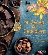 Image de Du cacao au chocolat