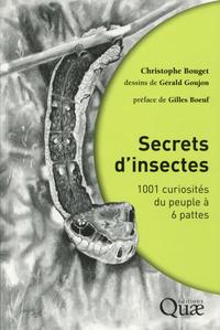 Picture of Secrets d'insectes