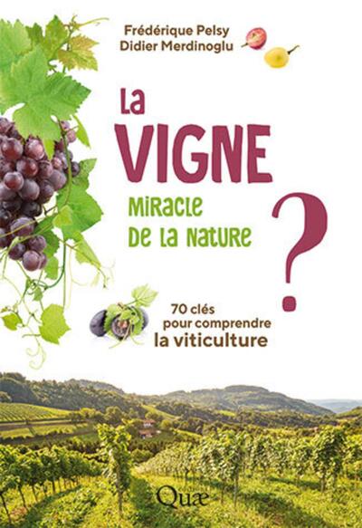 Picture of La vigne, miracle de la nature ?