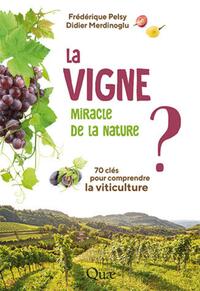 Picture of La vigne, miracle de la nature ?