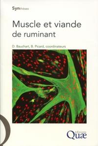 Image de Muscle et viande de ruminant