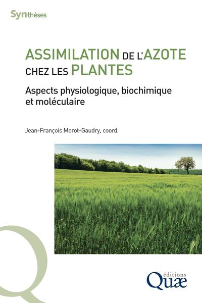 Picture of Assimilation de l'azote chez les plantes