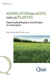 Picture of Assimilation de l'azote chez les plantes