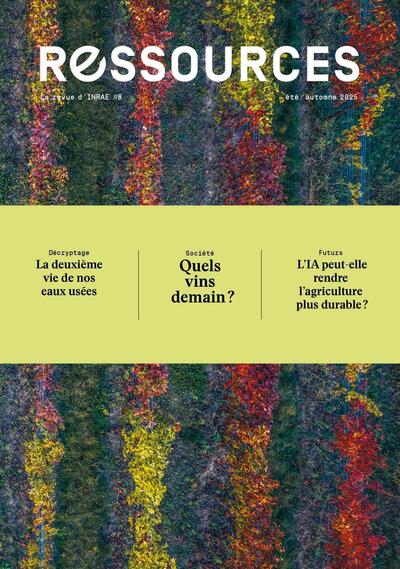 Image de Ressources #8
