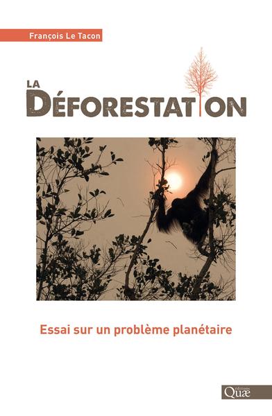 Picture of La déforestation
