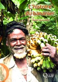 Image de Histoire du bananier