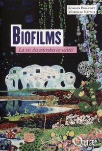 Picture of Biofilms