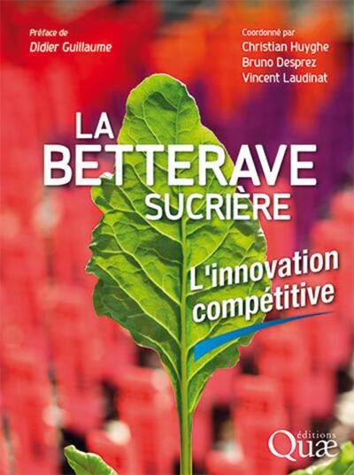 Image de La betterave sucrière
