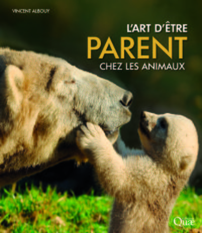 Image de L'art d'être parent chez les animaux