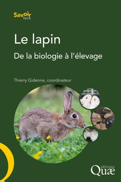 Picture of Le lapin