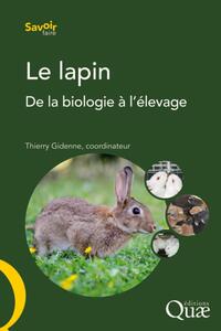 Picture of Le lapin
