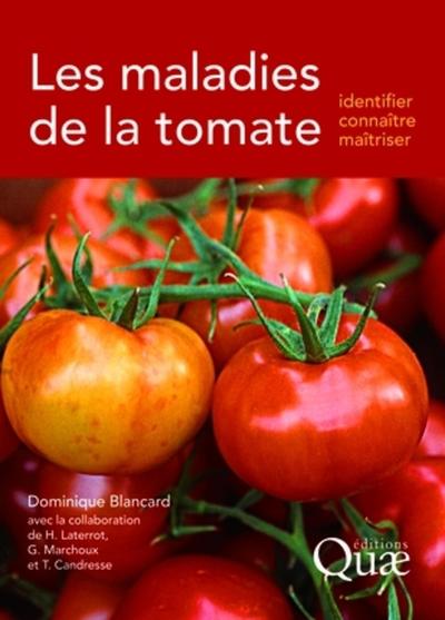 Image de Les maladies de la tomate