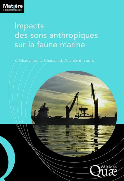 Picture of Impact des sons anthropiques sur la faune marine