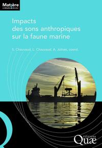Picture of Impact des sons anthropiques sur la faune marine