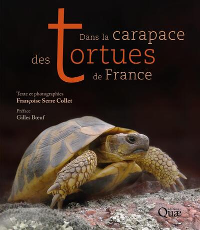 Image de Dans la carapace des tortues de France