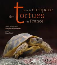 Image de Dans la carapace des tortues de France
