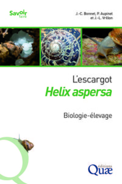 Picture of L'escargot Helix aspersa