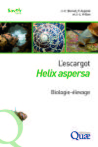 Picture of L'escargot Helix aspersa