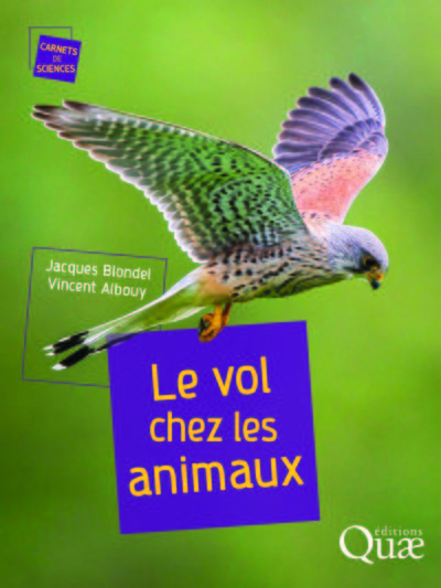 Image de Le vol chez les animaux
