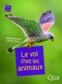 Image de Le vol chez les animaux
