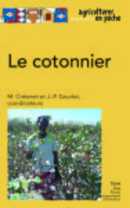 Picture of Le cotonnier