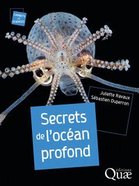 Image de Secrets de l'océan profond