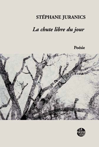 Picture of LA CHUTE LIBRE DU JOUR