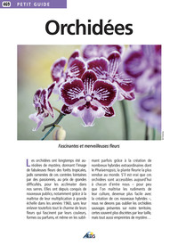 Picture of Les orchidées