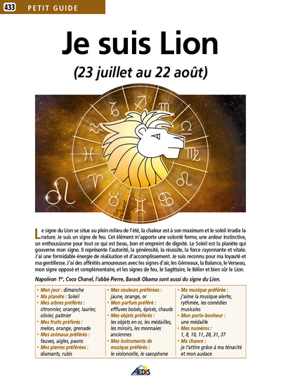 Picture of JE SUIS LION