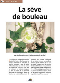 Picture of La sève de bouleau