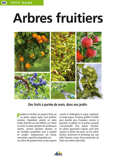 Picture of LES ARBRES FRUITIERS