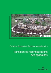 Picture of Transition et reconfiguration des spatialités