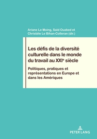 Image de Les défis de la diversité culturelle dans le monde du travail au XXIe siècle