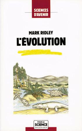 Picture of L'évolution