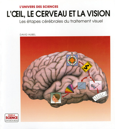 Picture of L'oeil, le cerveau, la vision.