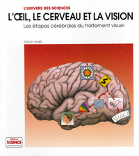 Picture of L'oeil, le cerveau, la vision.